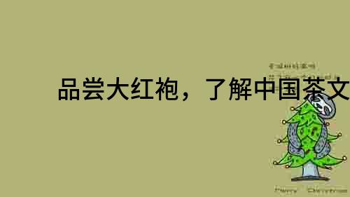品嘗大紅袍，了解中國茶文化