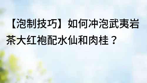 【泡制技巧】如何沖泡武夷巖茶大紅袍配水仙和肉桂？