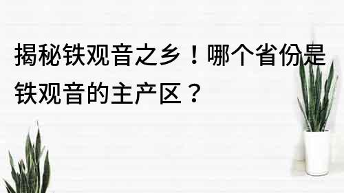 揭秘鐵觀音之鄉！哪個省份是鐵觀音的主產區？