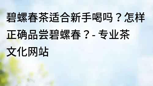 碧螺春茶適合新手喝嗎？怎樣正確品嘗碧螺春？- 專業茶文化網站