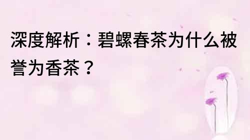 深度解析：碧螺春茶為什么被譽為香茶？
