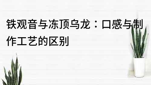 鐵觀音與凍頂烏龍：口感與制作工藝的區別