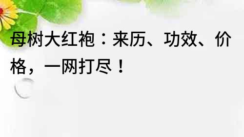 母樹大紅袍：來歷、功效、價格，一網打盡！