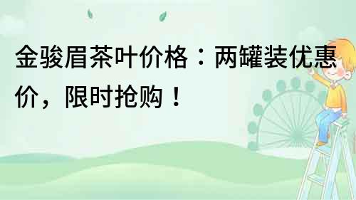 金駿眉茶葉價格：兩罐裝優(yōu)惠價，限時搶購！