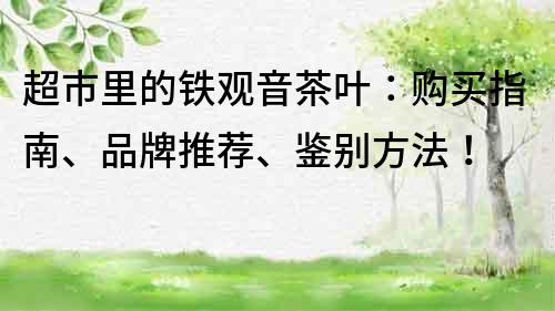 超市里的鐵觀音茶葉：購買指南、品牌推薦、鑒別方法！