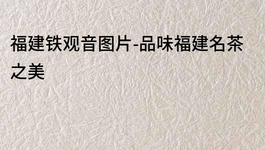 福建鐵觀音圖片-品味福建名茶之美