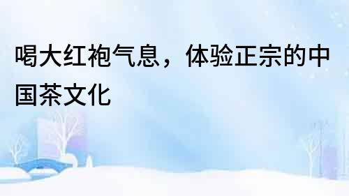 喝大紅袍氣息，體驗正宗的中國茶文化