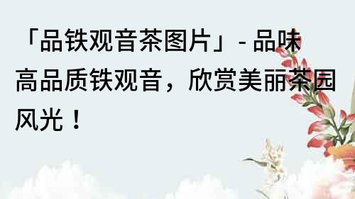 「品鐵觀音茶圖片」- 品味高品質鐵觀音，欣賞美麗茶園風光！