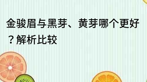 金駿眉與黑芽、黃芽哪個更好？解析比較