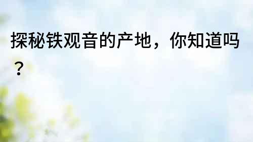 探秘鐵觀音的產地，你知道嗎？