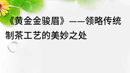 《黃金金駿眉》——領略傳統制茶工藝的美妙之處
