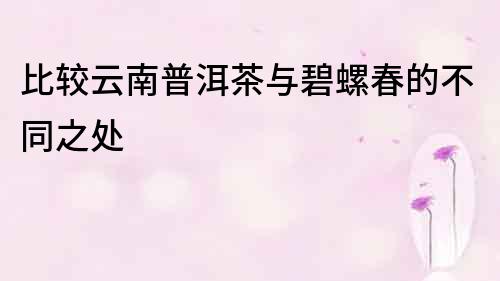 比較云南普洱茶與碧螺春的不同之處