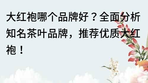 大紅袍哪個品牌好？全面分析知名茶葉品牌，推薦優質大紅袍！