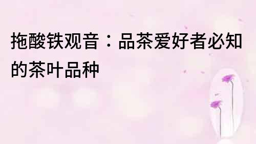 拖酸鐵觀音：品茶愛好者必知的茶葉品種