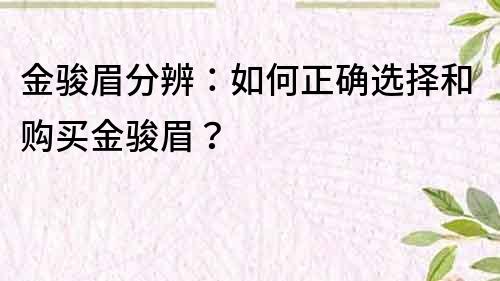 金駿眉分辨：如何正確選擇和購(gòu)買(mǎi)金駿眉？