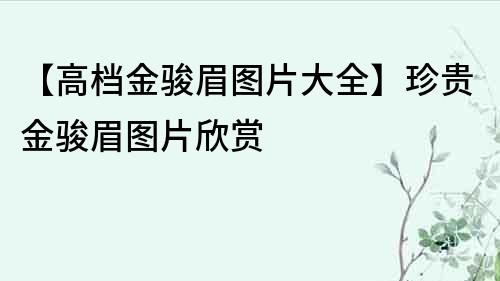 【高檔金駿眉圖片大全】珍貴金駿眉圖片欣賞
