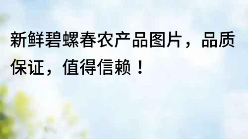 新鮮碧螺春農(nóng)產(chǎn)品圖片，品質(zhì)保證，值得信賴！