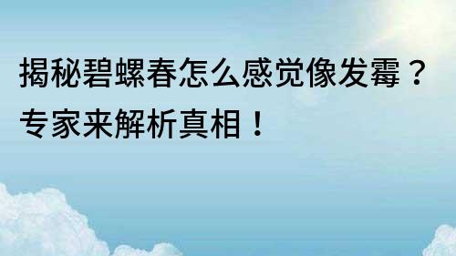 揭秘碧螺春怎么感覺像發霉？專家來解析真相！