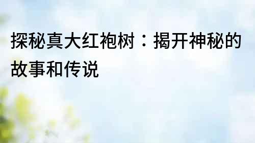 探秘真大紅袍樹：揭開神秘的故事和傳說