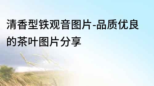 清香型鐵觀音圖片-品質優良的茶葉圖片分享