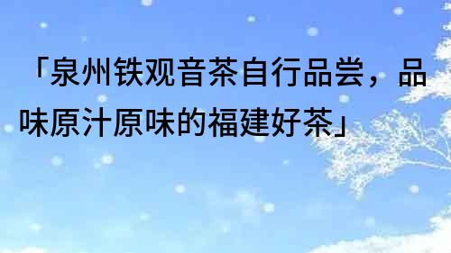 「泉州鐵觀音茶自行品嘗，品味原汁原味的福建好茶」