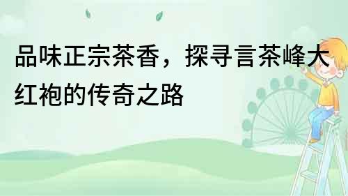 品味正宗茶香，探尋言茶峰大紅袍的傳奇之路