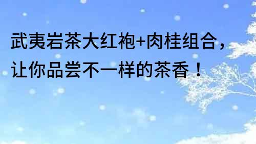 武夷巖茶大紅袍+肉桂組合，讓你品嘗不一樣的茶香！