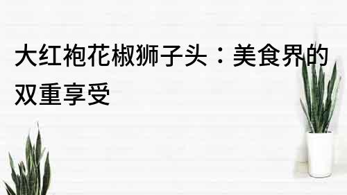 大紅袍花椒獅子頭：美食界的雙重享受