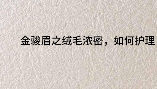 金駿眉之絨毛濃密，如何護理？