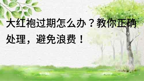 大紅袍過期怎么辦？教你正確處理，避免浪費！
