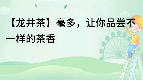 【龍井茶】毫多，讓你品嘗不一樣的茶香