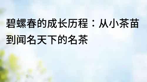 碧螺春的成長歷程：從小茶苗到聞名天下的名茶