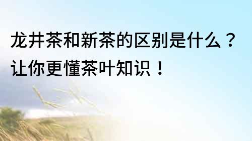 龍井茶和新茶的區別是什么？讓你更懂茶葉知識！