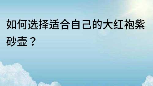 如何選擇適合自己的大紅袍紫砂壺？