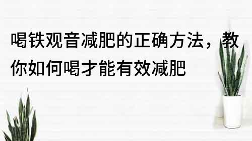 喝鐵觀音減肥的正確方法，教你如何喝才能有效減肥