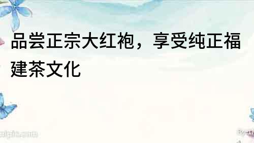 品嘗正宗大紅袍，享受純正福建茶文化