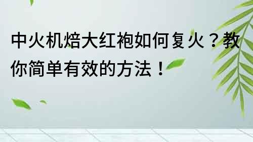 中火機焙大紅袍如何復火？教你簡單有效的方法！