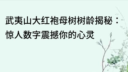 武夷山大紅袍母樹樹齡揭秘：驚人數字震撼你的心靈