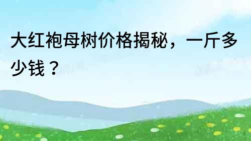 大紅袍母樹價格揭秘，一斤多少錢？