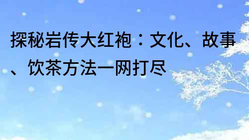 探秘巖傳大紅袍：文化、故事、飲茶方法一網打盡