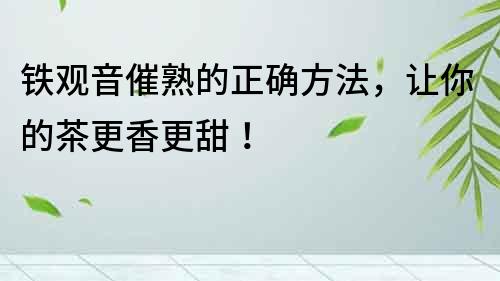 鐵觀音催熟的正確方法，讓你的茶更香更甜！