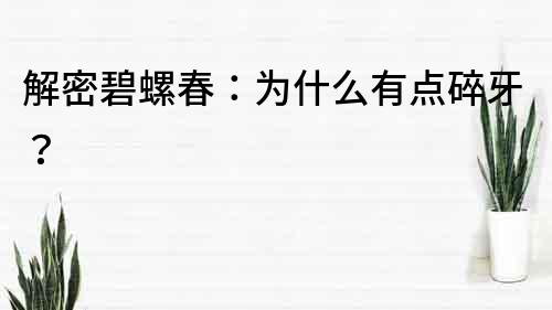解密碧螺春：為什么有點碎牙？
