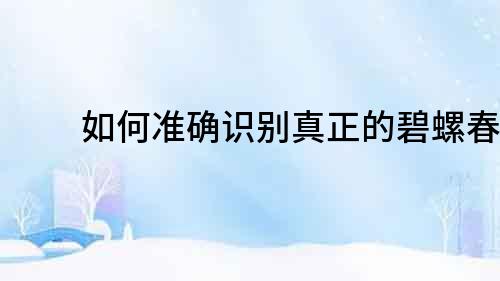 如何準確識別真正的碧螺春？