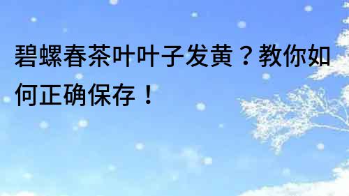 碧螺春茶葉葉子發黃？教你如何正確保存！