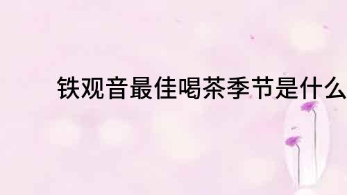 鐵觀音最佳喝茶季節是什么？
