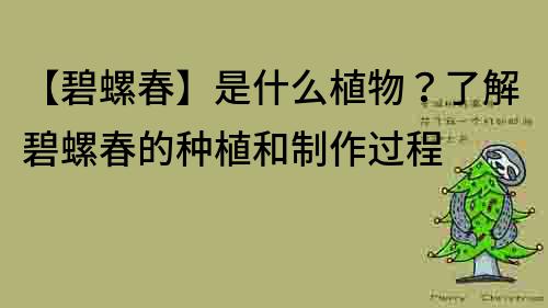 【碧螺春】是什么植物？了解碧螺春的種植和制作過程