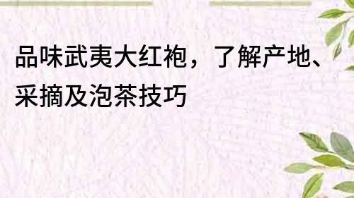 品味武夷大紅袍，了解產地、采摘及泡茶技巧