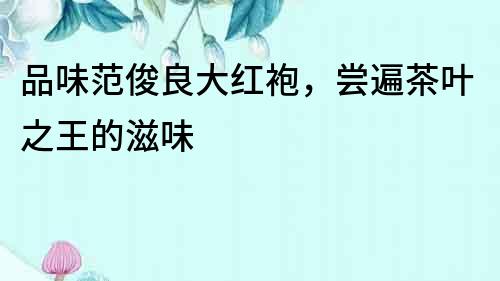 品味范俊良大紅袍，嘗遍茶葉之王的滋味