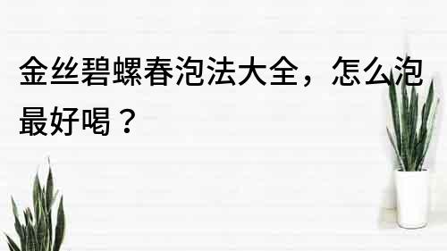 金絲碧螺春泡法大全，怎么泡最好喝？