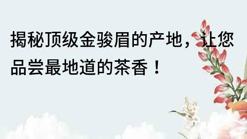 揭秘頂級金駿眉的產地，讓您品嘗最地道的茶香！